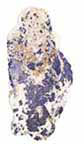 blue streak mineral