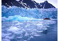 icebergs