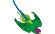 Illustration of parrot on white background